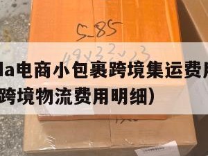 lazada电商小包裹跨境集运费用（lazada跨境物流费用明细）