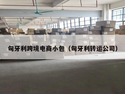 匈牙利跨境电商小包（匈牙利转运公司）