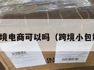 小包做跨境电商可以吗（跨境小包解决方案）