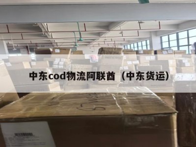 中东cod物流阿联酋（中东货运）