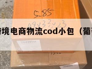 葡萄牙跨境电商物流cod小包（葡萄牙海运）