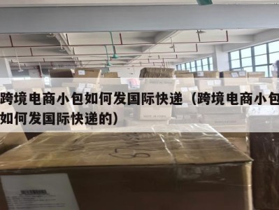 跨境电商小包如何发国际快递（跨境电商小包如何发国际快递的）