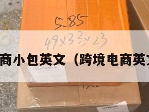 跨境电商小包英文（跨境电商英文术语）