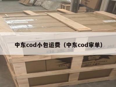 中东cod小包运费（中东cod审单）