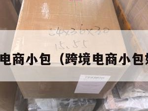 海外跨境电商小包（跨境电商小包如何清关）