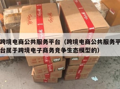 跨境电商公共服务平台（跨境电商公共服务平台属于跨境电子商务竞争生态模型的）
