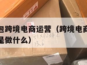 无经验小包跨境电商运营（跨境电商一般没经验的进去是做什么）