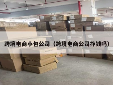 跨境电商小包公司（跨境电商公司挣钱吗）
