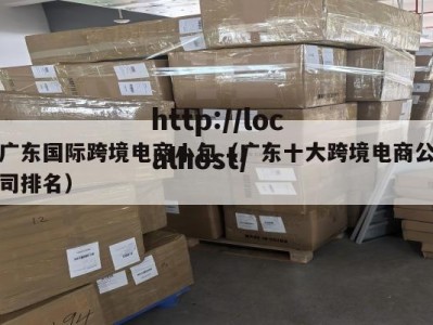 广东国际跨境电商小包（广东十大跨境电商公司排名）