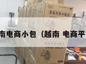 越南电商小包（越南 电商平台）