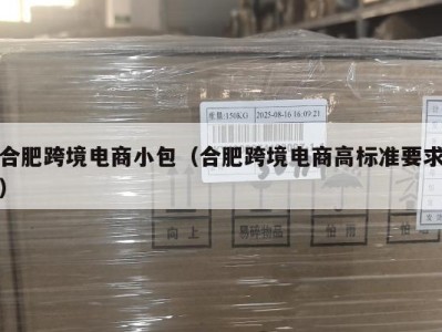 合肥跨境电商小包（合肥跨境电商高标准要求）