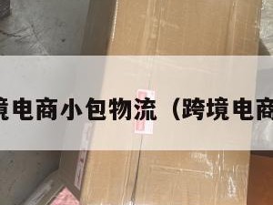 西欧跨境电商小包物流（跨境电商小包裹）