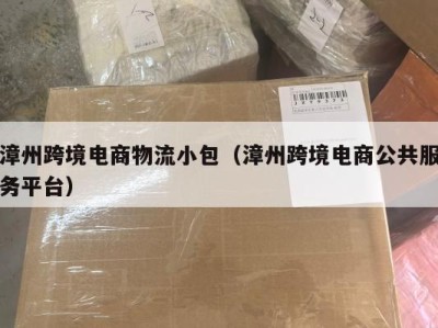 漳州跨境电商物流小包（漳州跨境电商公共服务平台）