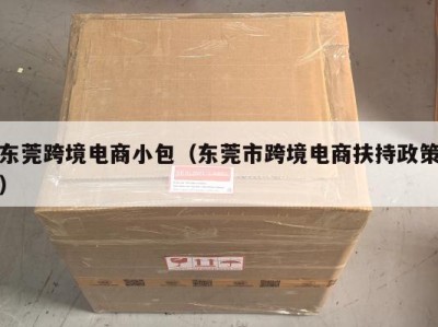 东莞跨境电商小包（东莞市跨境电商扶持政策）