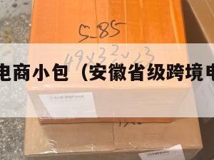 安徽跨境电商小包（安徽省级跨境电商产业园）
