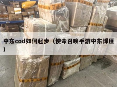 中东cod如何起步（使命召唤手游中东悍匪）
