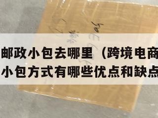 跨境电商邮政小包去哪里（跨境电商物流采用中国邮政小包方式有哪些优点和缺点?）