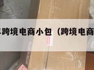 2020年跨境电商小包（跨境电商清单2019）