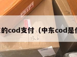 中东的cod支付（中东cod是什么）