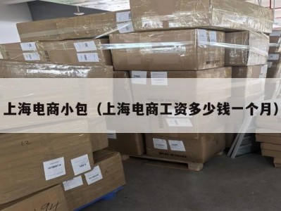 上海电商小包（上海电商工资多少钱一个月）