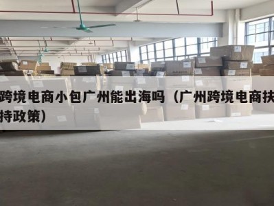 跨境电商小包广州能出海吗（广州跨境电商扶持政策）