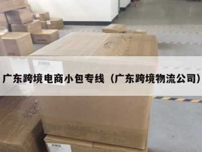 广东跨境电商小包专线（广东跨境物流公司）