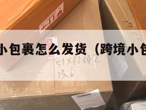 跨境电商小包裹怎么发货（跨境小包怎么发比较划算）