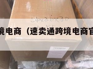 速卖通跨境电商（速卖通跨境电商官网中文版）
