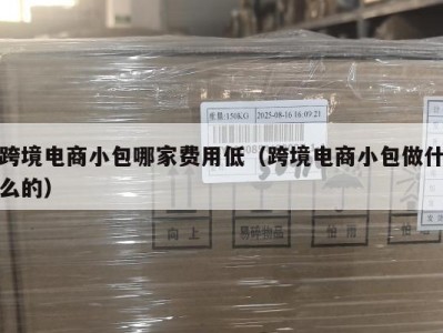 跨境电商小包哪家费用低（跨境电商小包做什么的）