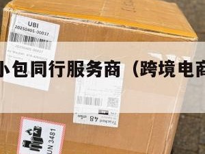 跨境电商小包同行服务商（跨境电商小包寄递特点）