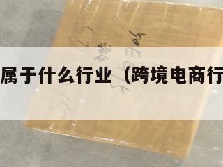 跨境电商属于什么行业（跨境电商行业前景如何）