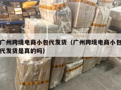 广州跨境电商小包代发货（广州跨境电商小包代发货是真的吗）