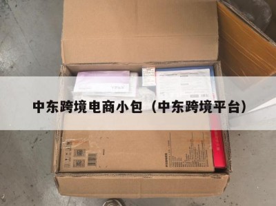 中东跨境电商小包（中东跨境平台）