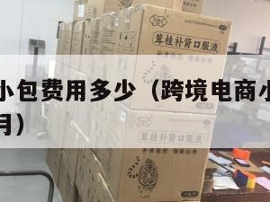 跨境电商小包费用多少（跨境电商小包费用多少钱一个月）