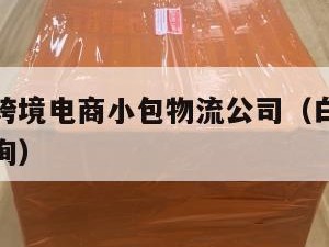 白俄罗斯跨境电商小包物流公司（白俄罗斯快递单号查询）