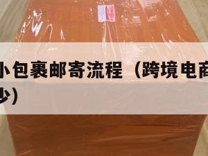 跨境电商小包裹邮寄流程（跨境电商怎么发货快递费多少）