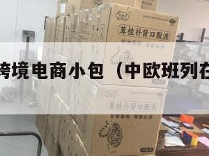 中欧班列跨境电商小包（中欧班列在哪里报关）
