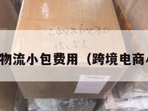 跨境电商物流小包费用（跨境电商小件物流）
