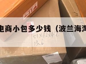 波兰跨境电商小包多少钱（波兰海淘有哪几家转运公司）