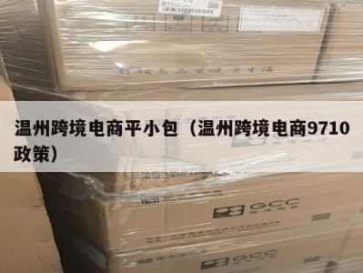 温州跨境电商平小包（温州跨境电商9710政策）