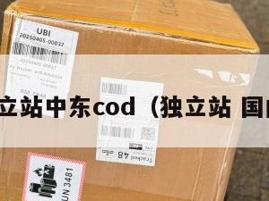 独立站中东cod（独立站 国内）