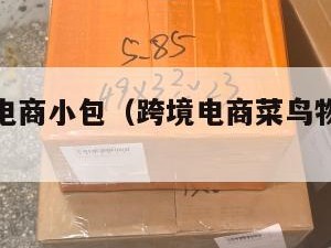 菜鸟跨境电商小包（跨境电商菜鸟物流怎样操作）