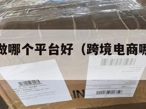 跨境电商做哪个平台好（跨境电商哪个平台好一些）