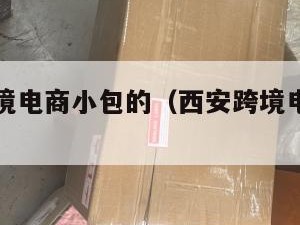 西安做跨境电商小包的（西安跨境电子服务中心）