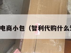 智利电商小包（智利代购什么划算）