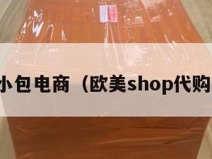 欧美小包电商（欧美shop代购小铺）