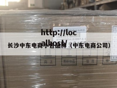 长沙中东电商小包品牌（中东电商公司）
