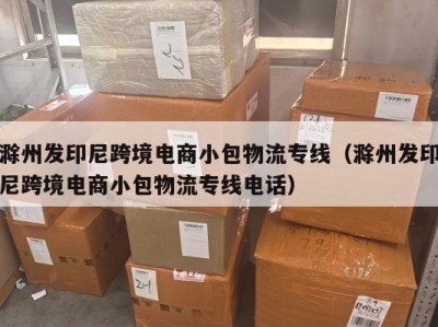 滁州发印尼跨境电商小包物流专线（滁州发印尼跨境电商小包物流专线电话）