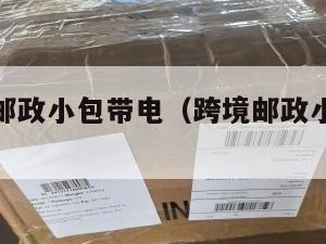 跨境电商邮政小包带电（跨境邮政小包裹收费标准）