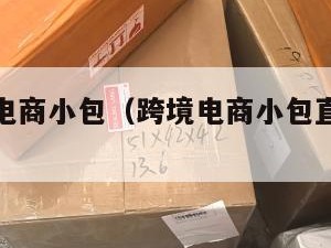 西藏跨境电商小包（跨境电商小包直邮怎么报税的）